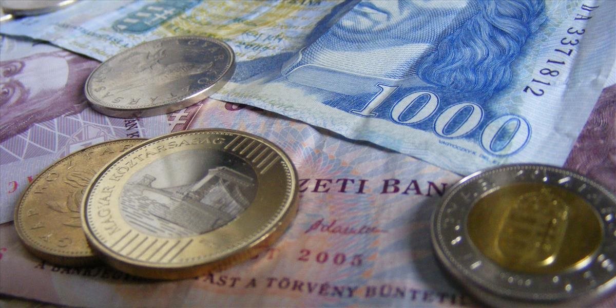 Maďarsko zvažuje zníženie sadzby DPH pred rokom 2018
