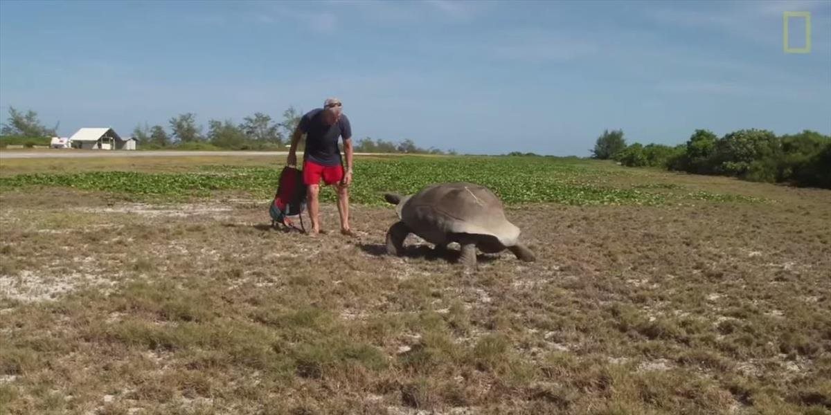 VIDEO Muž prerušil korytnačkám sex, vznikla z toho najpomalšia naháňačka v histórii