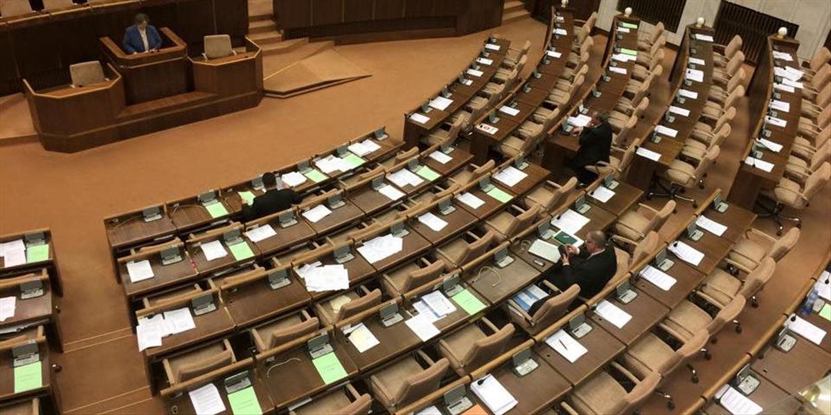 FOTO z vystúpenia ochrankyne práv Dubovcovej v parlamente: Kde sú všetci poslanci?!