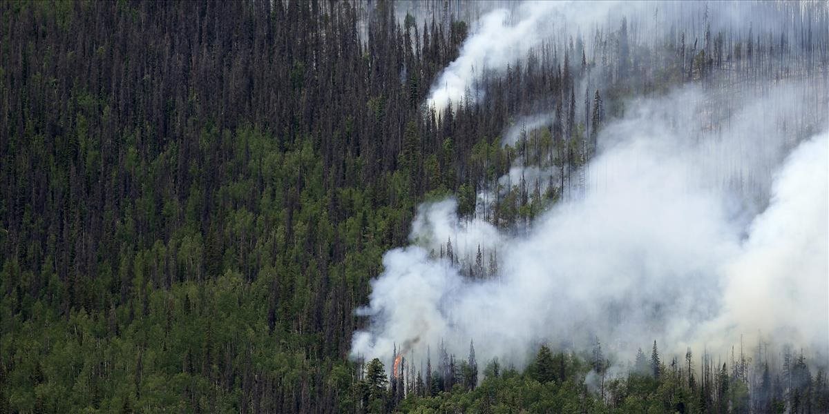 Lesné požiare v Čile spálili viac ako 6-tisíc hektárov porastov vzácnych lesov