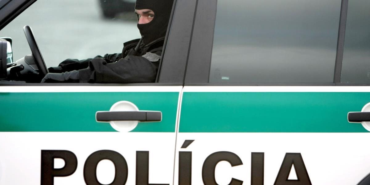 Slovenská polícia spolupracovala na rozložení siete prevádzačov