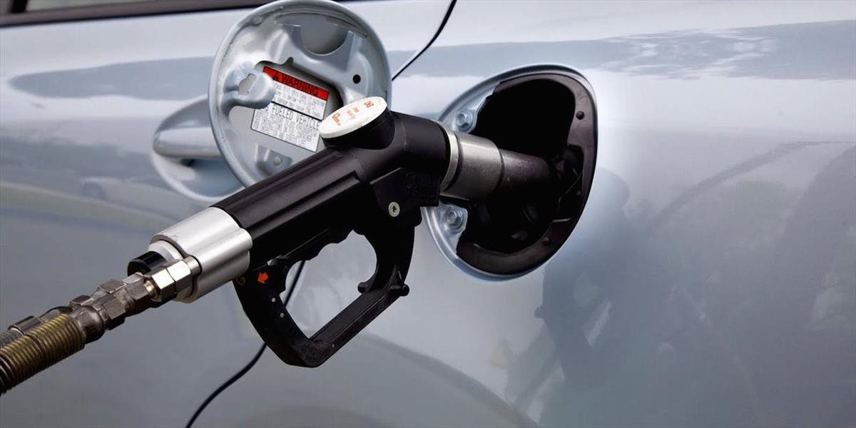 Ceny benzínov a nafty sa v 13. týždni zvýšili, ceny LPG klesli