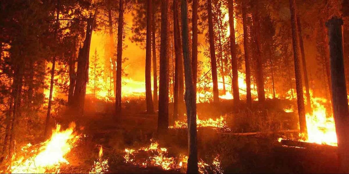Lesné požiare na juhu Sibíri si vyžiadali 23 obetí