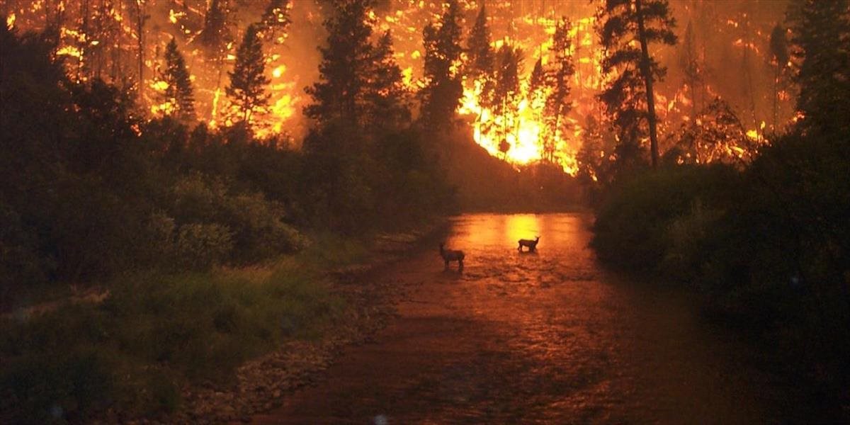Lesné požiare sa z Ruska rozšírili do Číny