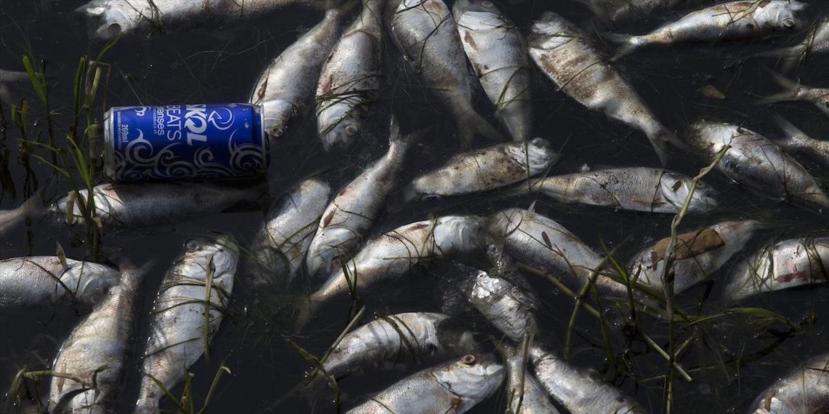 Ohrozené olympijské hry 2016 v Riu de Janeiro: Zaznamenali ďalší úhyn rýb v "jachtárskej" zátoke