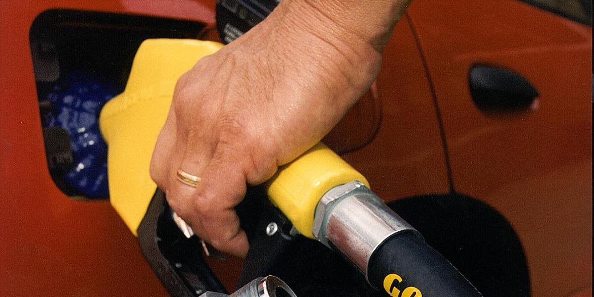 Ceny benzínu 95, nafty a LPG sa v 15. týždni znížili