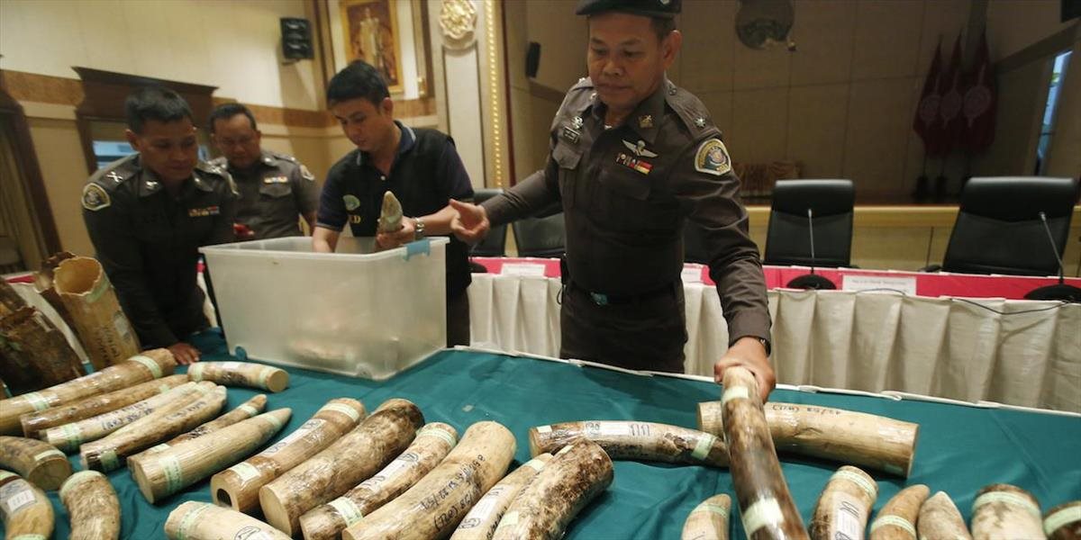 Thajskí colníci zhabali na letisku v Bangkoku takmer 30 kilogramov slonoviny
