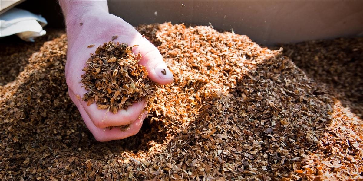 Colníci vo Veľkom Bieli našli vyše pol tony nelegálneho tabaku