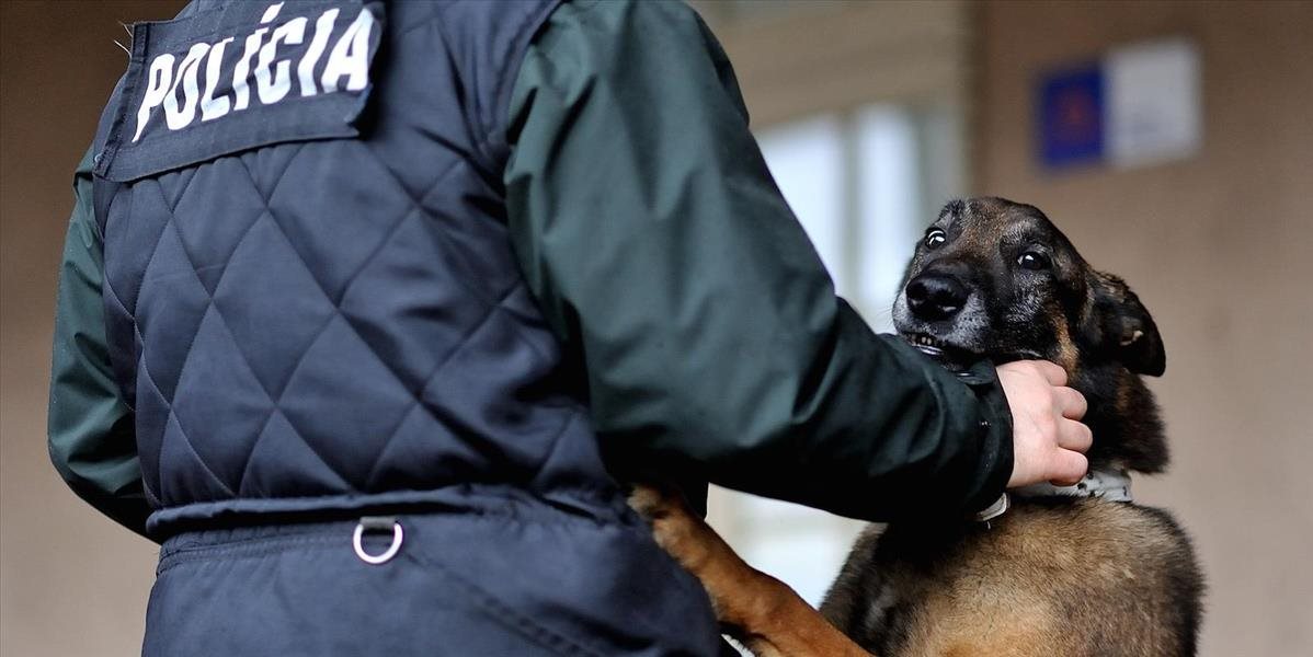Bieloruské cigarety odhalil služobný pes počas prestávky