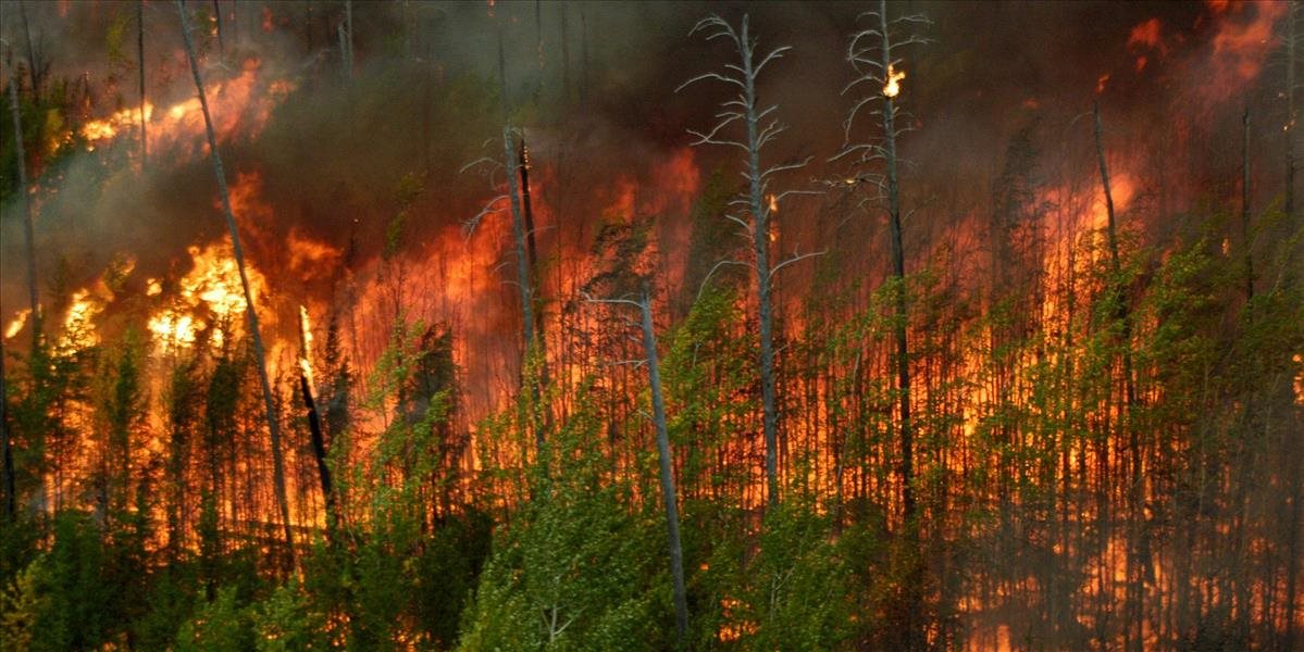 Pri Plaveckom Štvrtku horí les, zasahujú hasiči