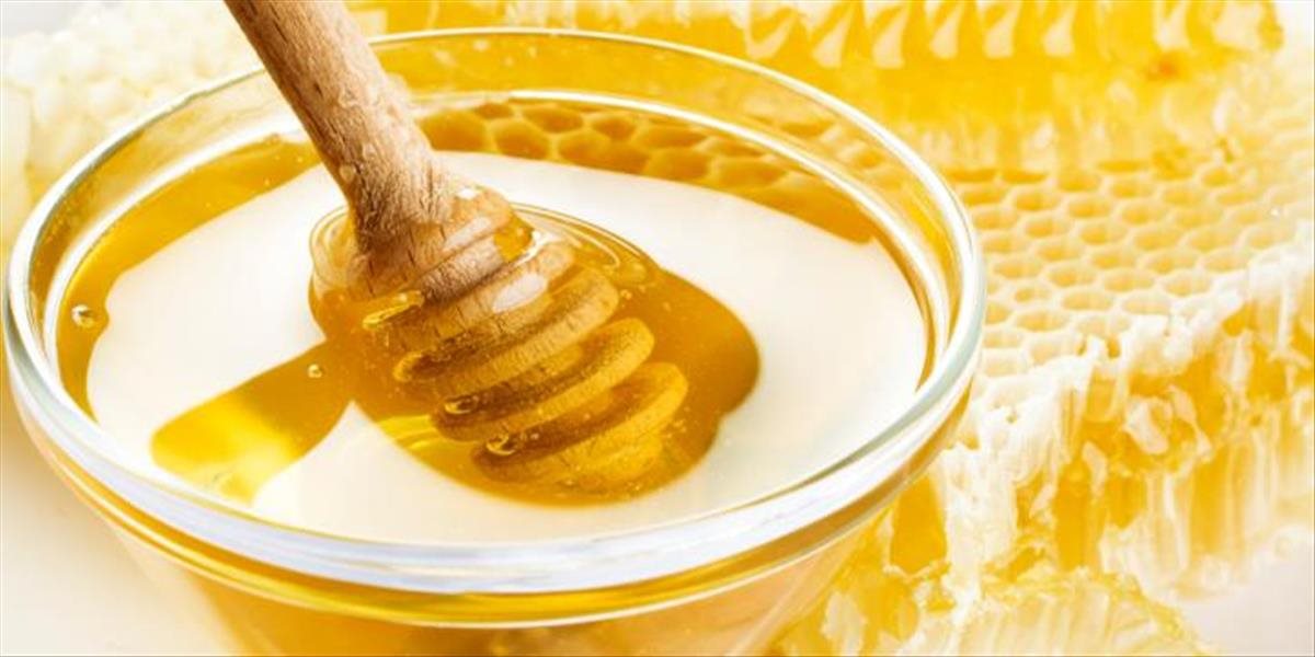 Slovenský med patrí k špičke, skorší nástup jari včelárom zatiaľ praje