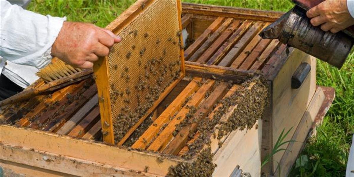 Polícia pátra po zlodejovi, ktorý ukradol úle a včelárske náradie