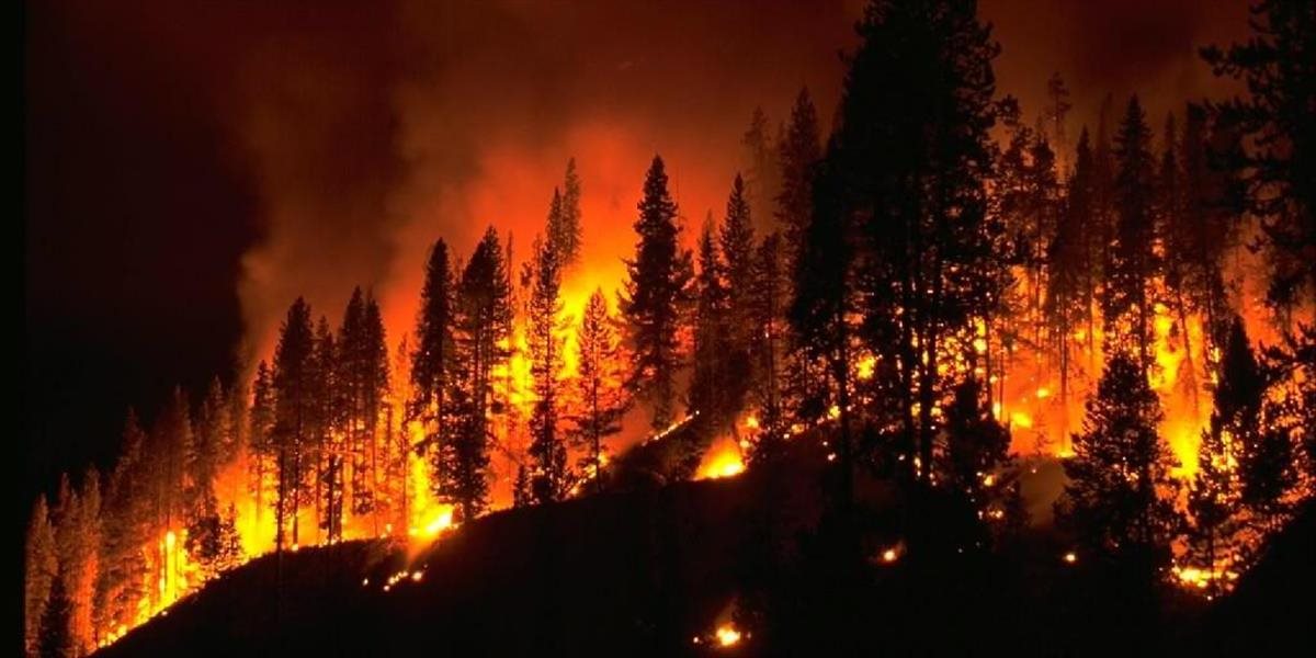 Plamene lesného požiaru v Korutánsku dosahovali miestami 100 metrov