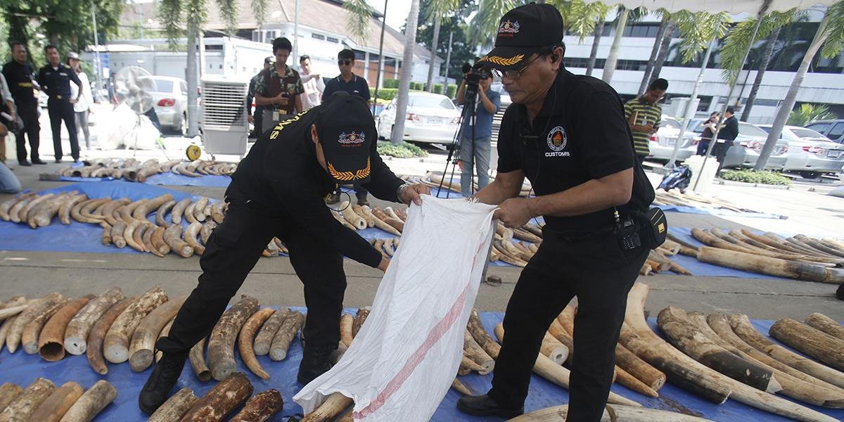 V Thajsku zhabali ďalšiu rekordnú zásielku pašovanej slonoviny