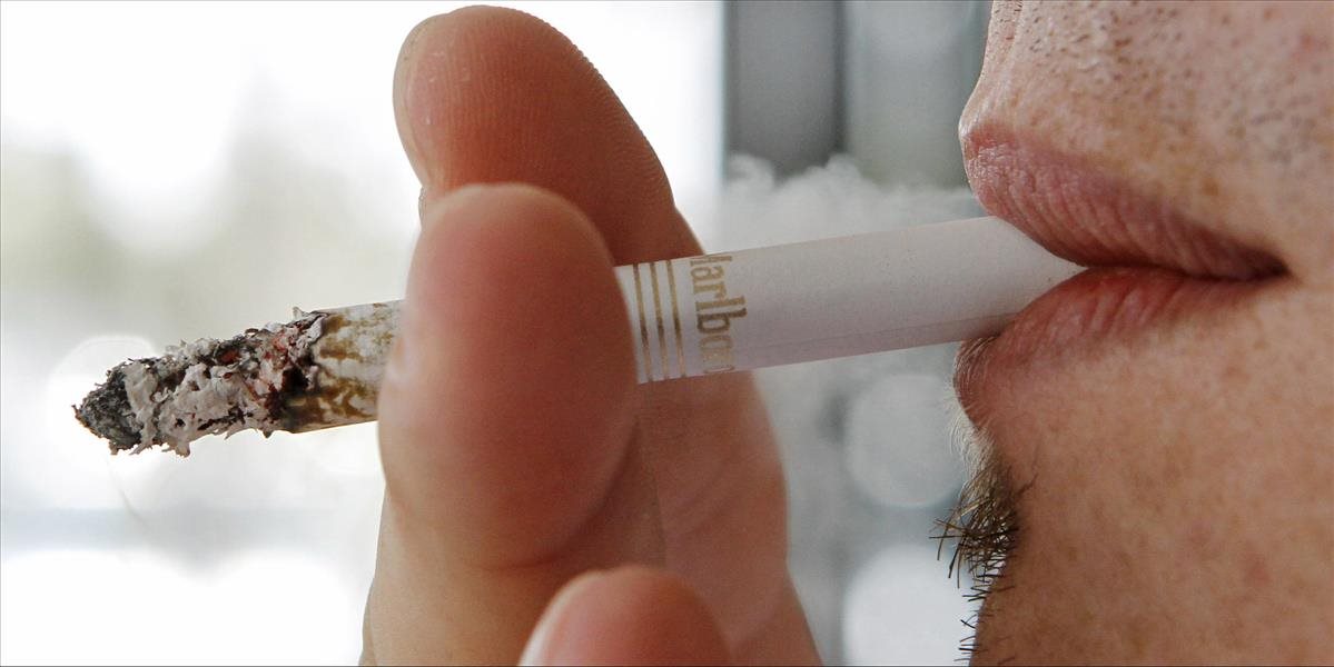 Rakúski fajčiari protestujú proti tabakovému zákonu