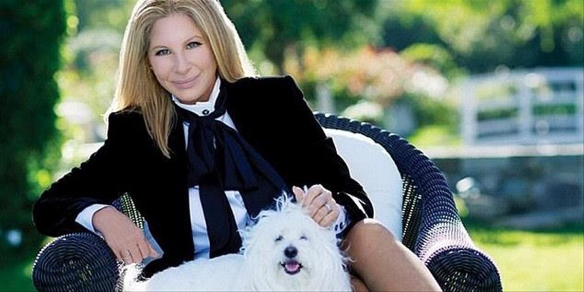 Sučka Barbry Streisand zaútočila na letušku, ranu jej museli zašiť