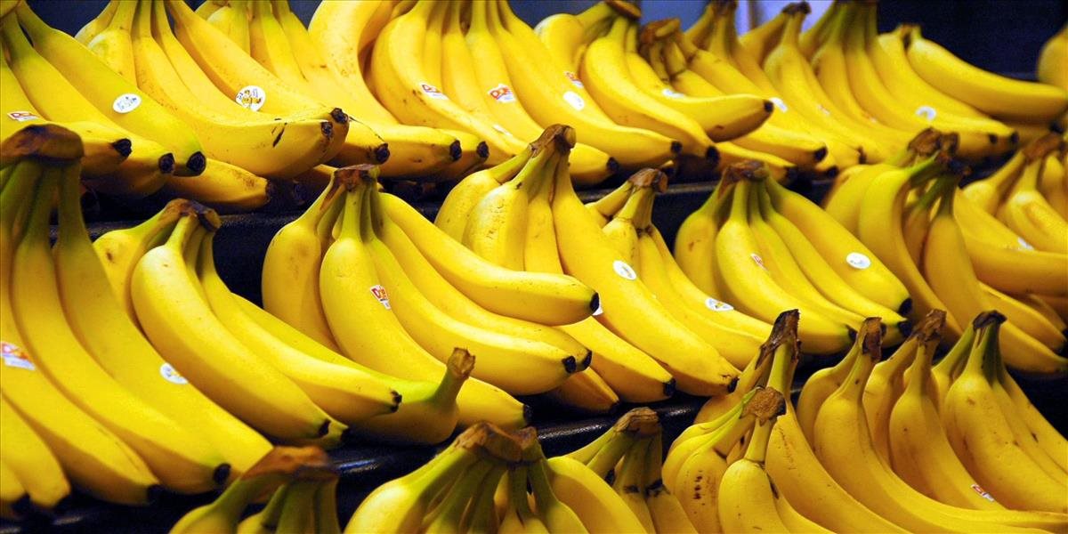 Ďalší kokaín v banánoch: V berlínskych obchodoch ho zhabali 300 kilo