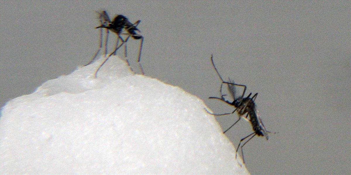 V Brazílii zaznamenali do polovice apríla vyše 740.000 prípadov horúčky dengue