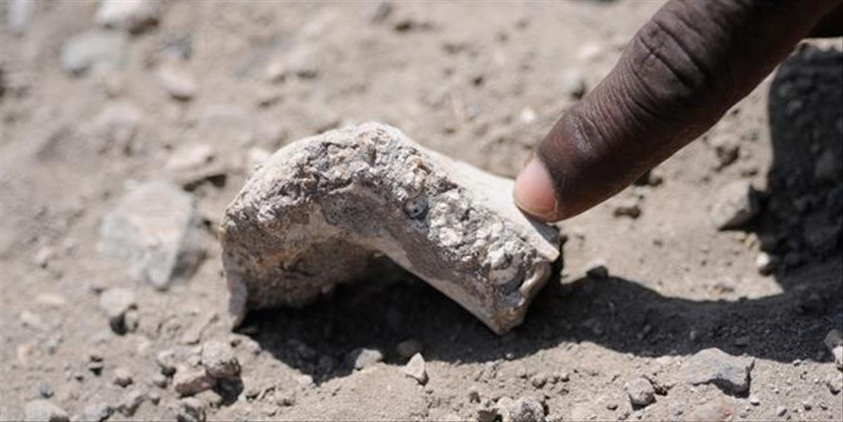 Vedci objavili v Etiópii nový druh predchodcu človeka