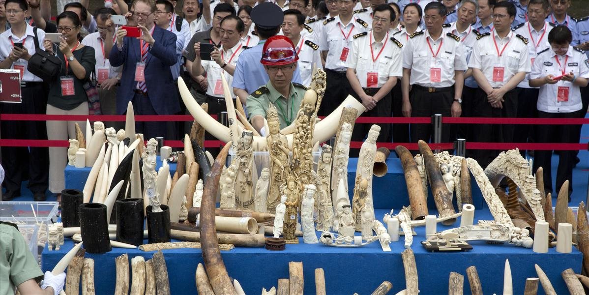 Čínske úrady zničili 662 ton slonoviny