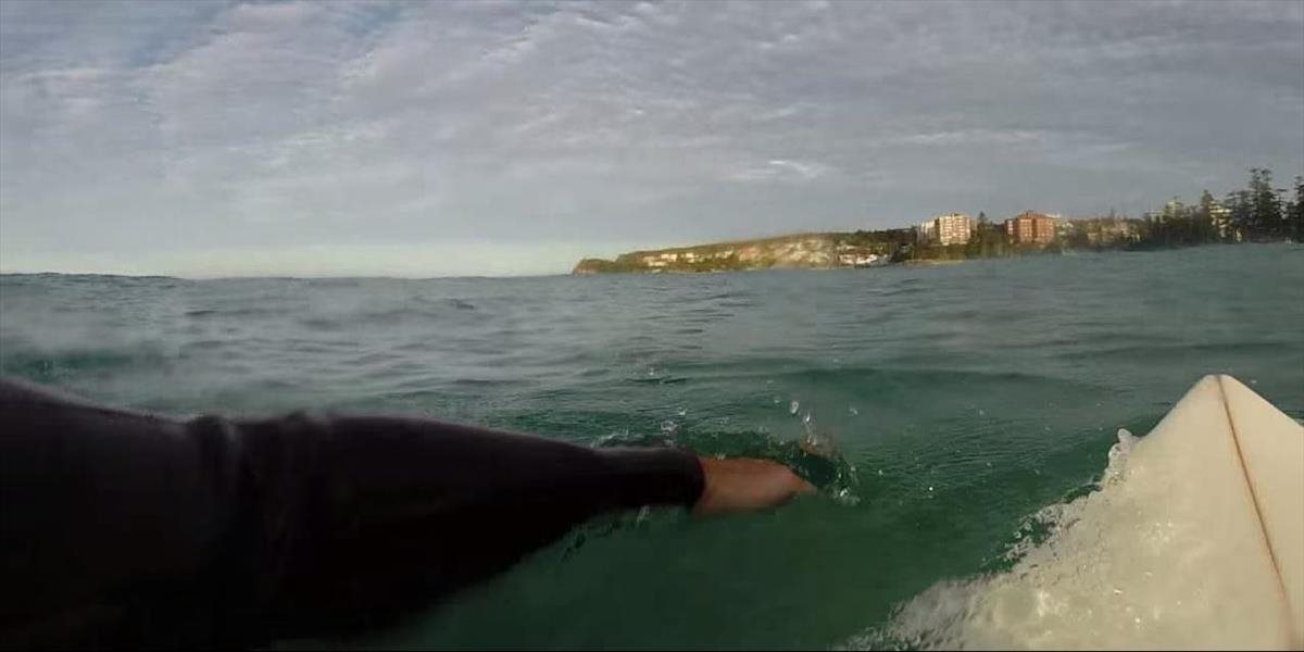 VIDEO Obrovský žralok biely krúžil okolo austrálskeho surfera