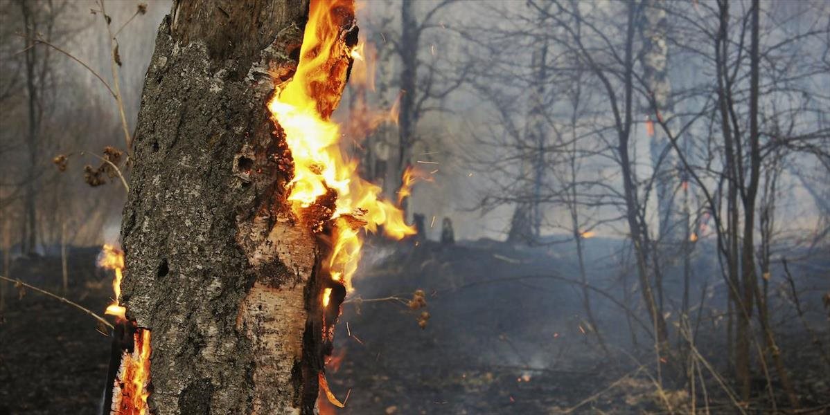 Pre lesné požiare v Kanade evakuovali tisíce ľudí, hasiť pomáhajú vojaci
