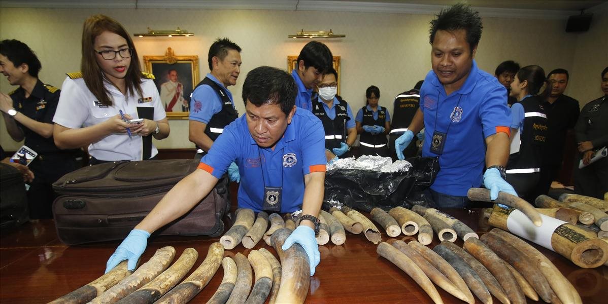 Úrady zadržali na letisku v Thajsku ilegálnu zásielku slonoviny