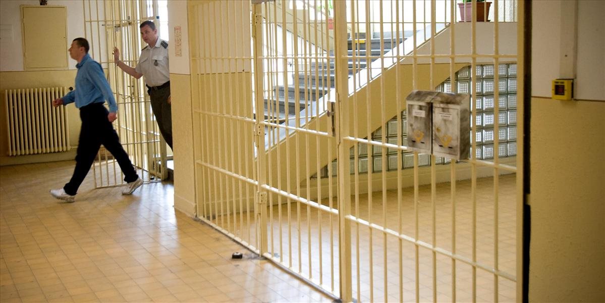 České väznice sú už takmer plné, napriek hromadnej amnestii z roku 2013