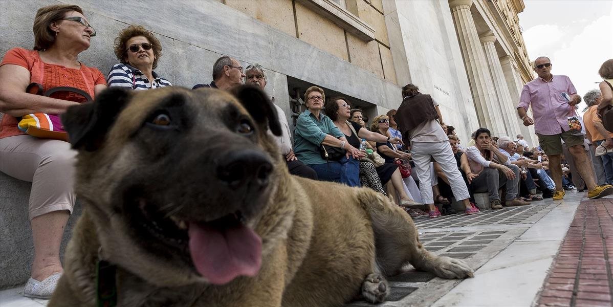 V Česku predstavili návrh zákona o zavedení povinnej identifikácie psov