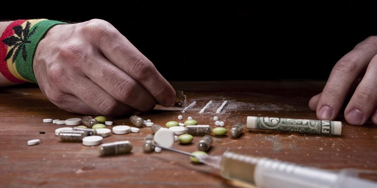 Polícia odhalila medzinárodný drogový kartel, Slováci v ňom zohrávali kľúčovú úlohu