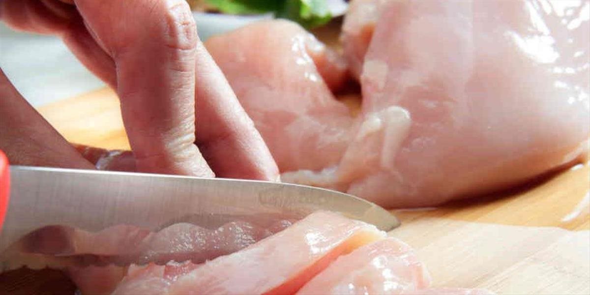 Česi odhalili salmonelu v kuracom mäse z Poľska