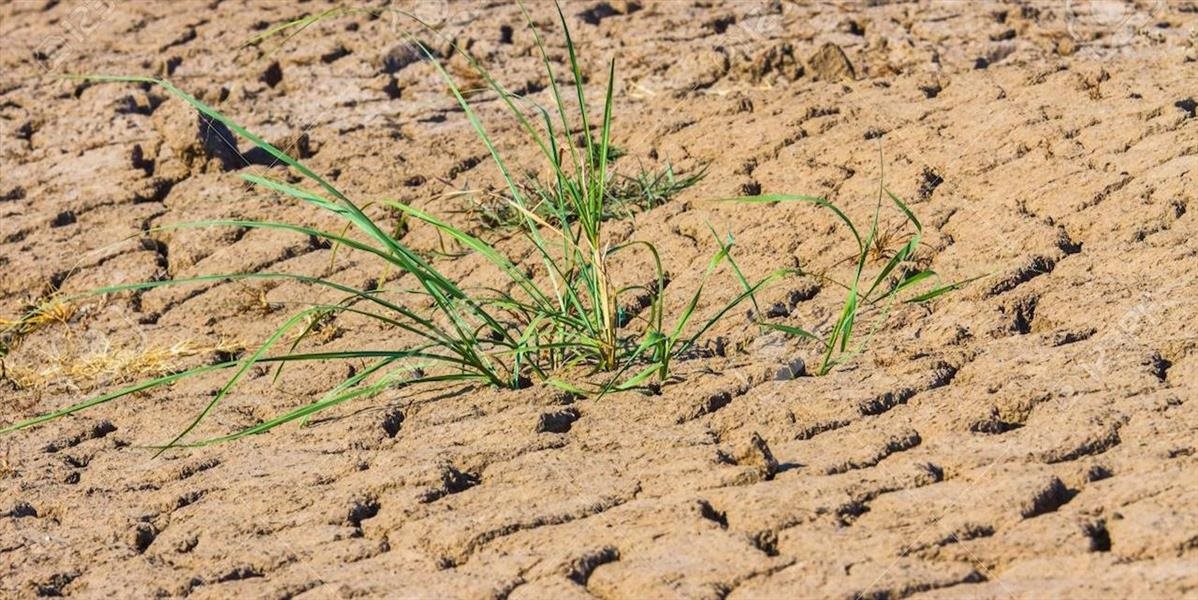 Česko sužuje najhoršie sucho za uplynulých desať rokov