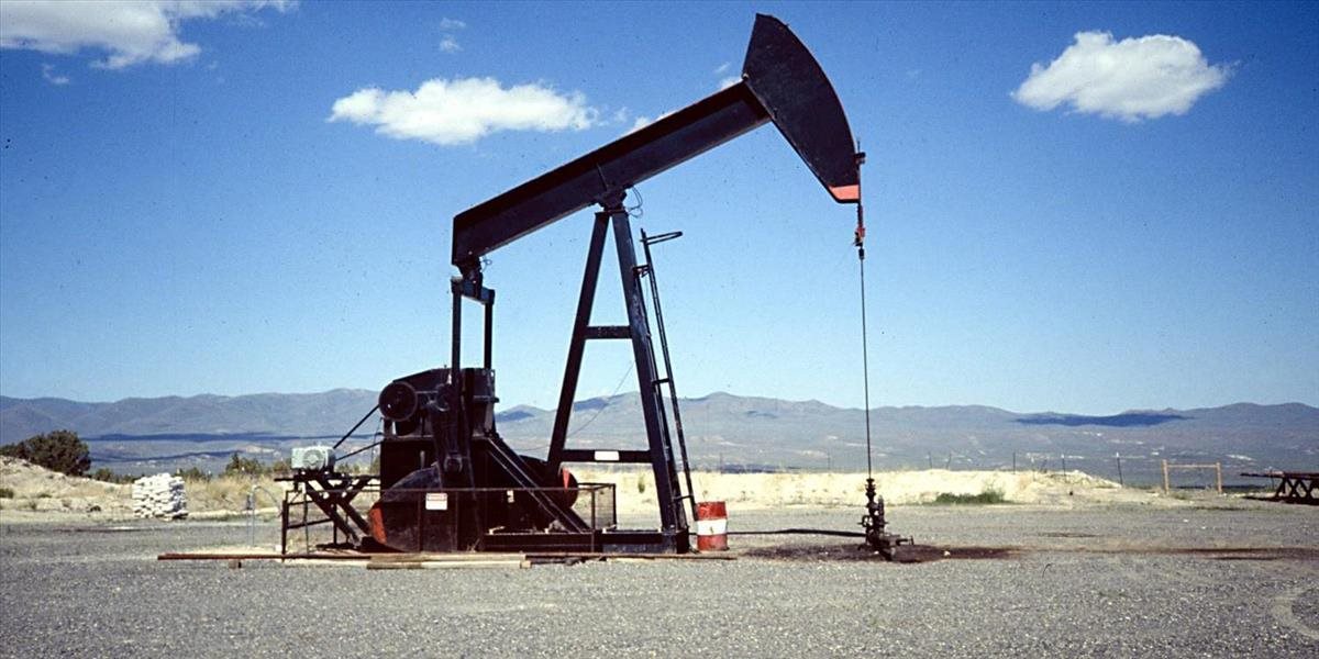 Pokles cien ropy má byť krátkodobý, OPEC neplánuje znížiť produkciu