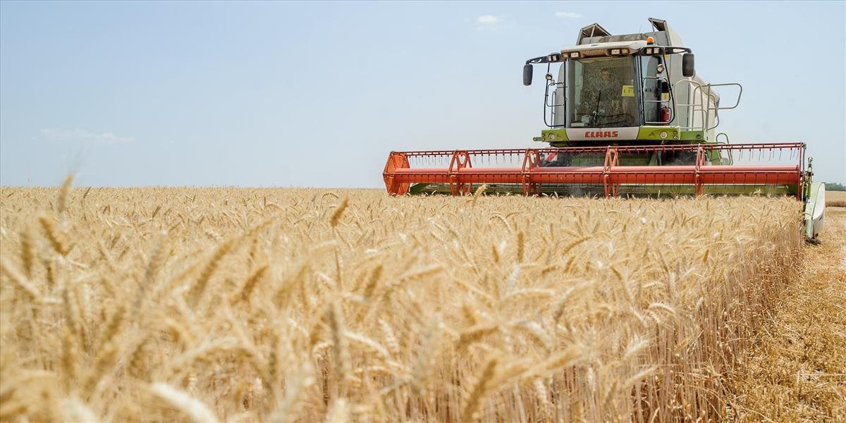 Tropické teplo a sucho na Slovensku ohrozuje produkciu farmárov