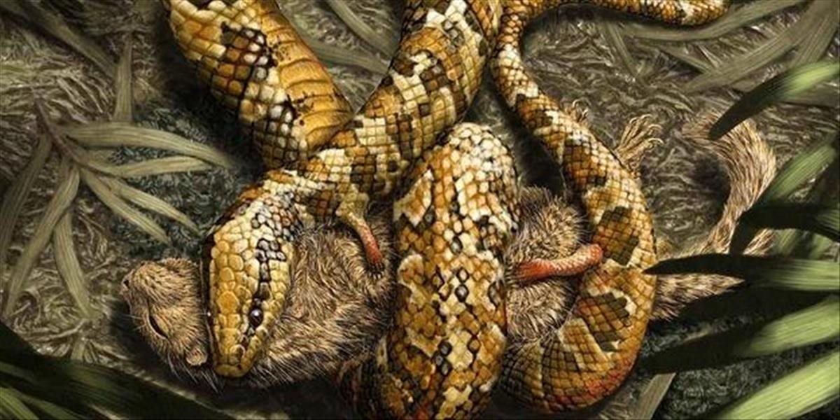 Vedci objavili fosíliu hada so štyrmi končatinami
