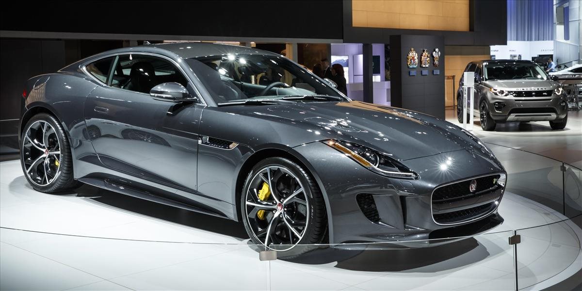 Vláda sa nechce vzdať Jaguaru: Ponúka mu milióny
