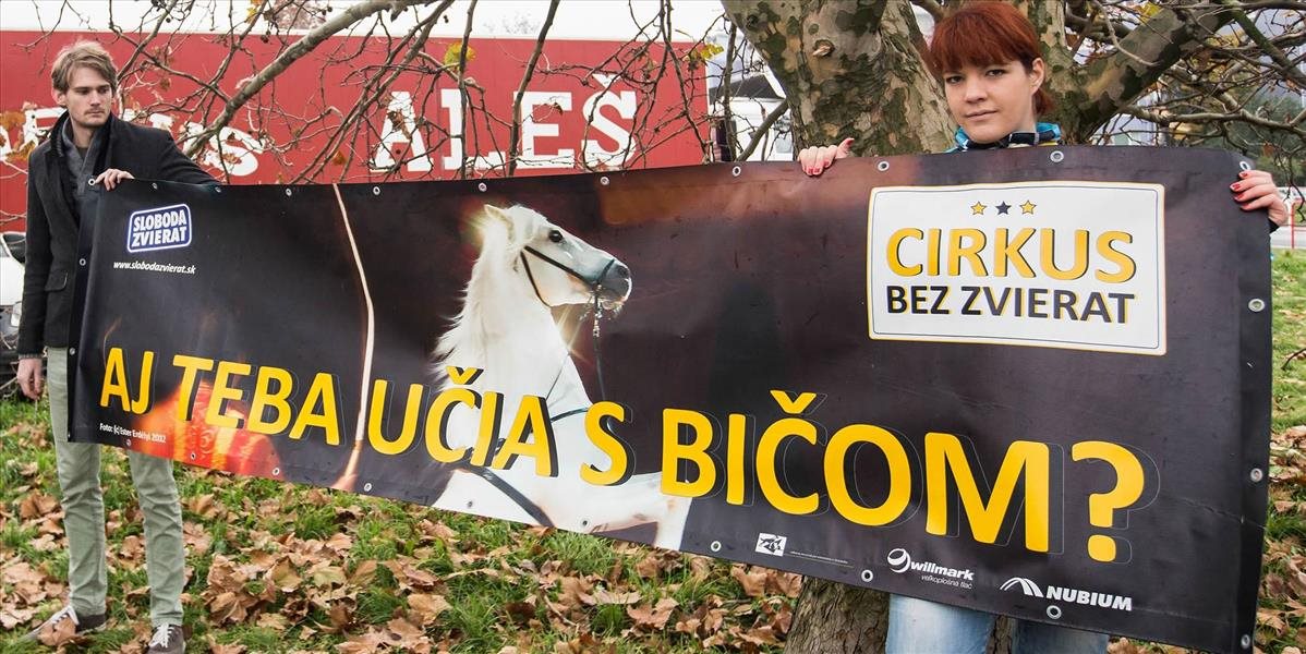 Sloboda zvierat organizuje protest proti zvieratám v cirkusoch