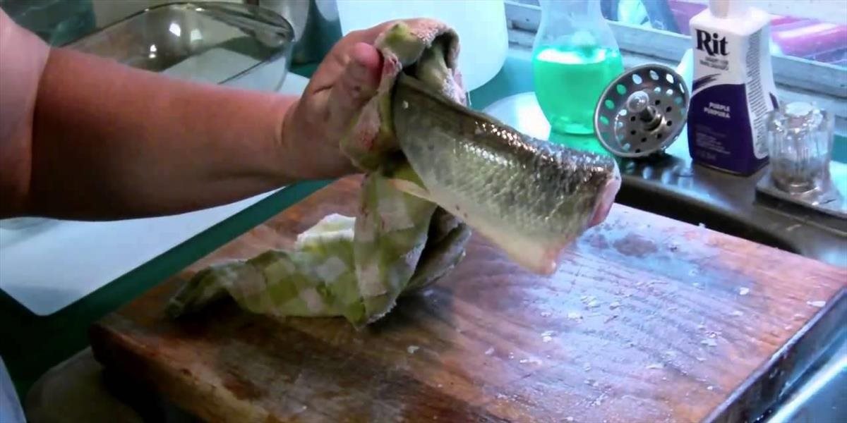 VIDEO Mŕtva ryba bez hlavy a vnútorností robí niečo celkom nečakané