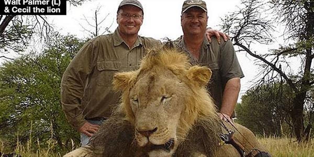 Federálny úrad začal vyšetrovať zabitie obľúbeného leva Cecila v Zimbabwe