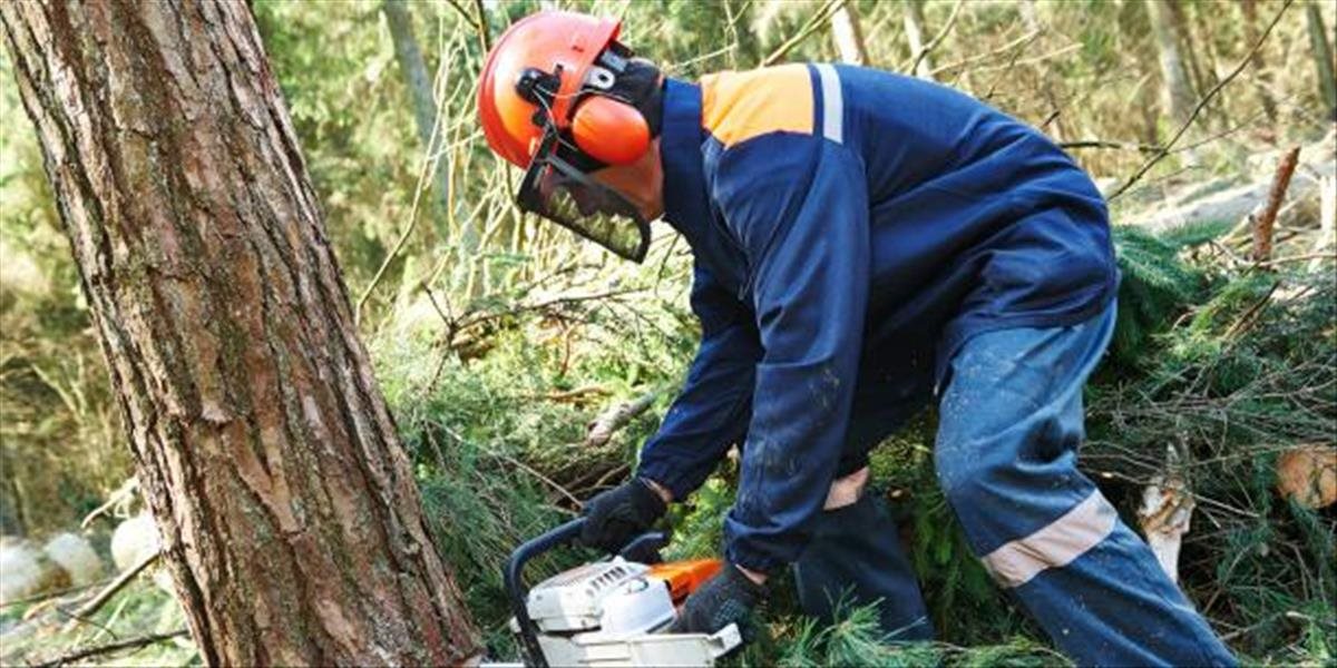 Osudný deň v práci, muža v Podhájskej zabil spílený strom