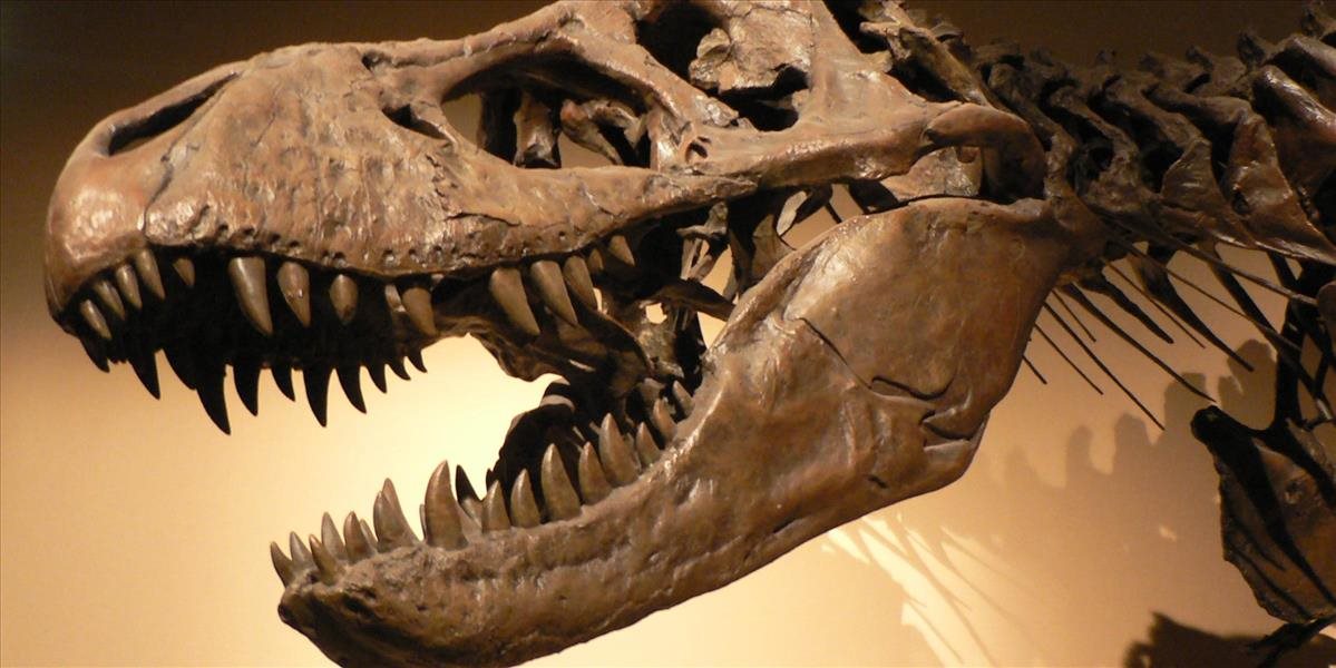 Čínska polícia zhabala dinosaurie fosílie odcudzené zo staveniska