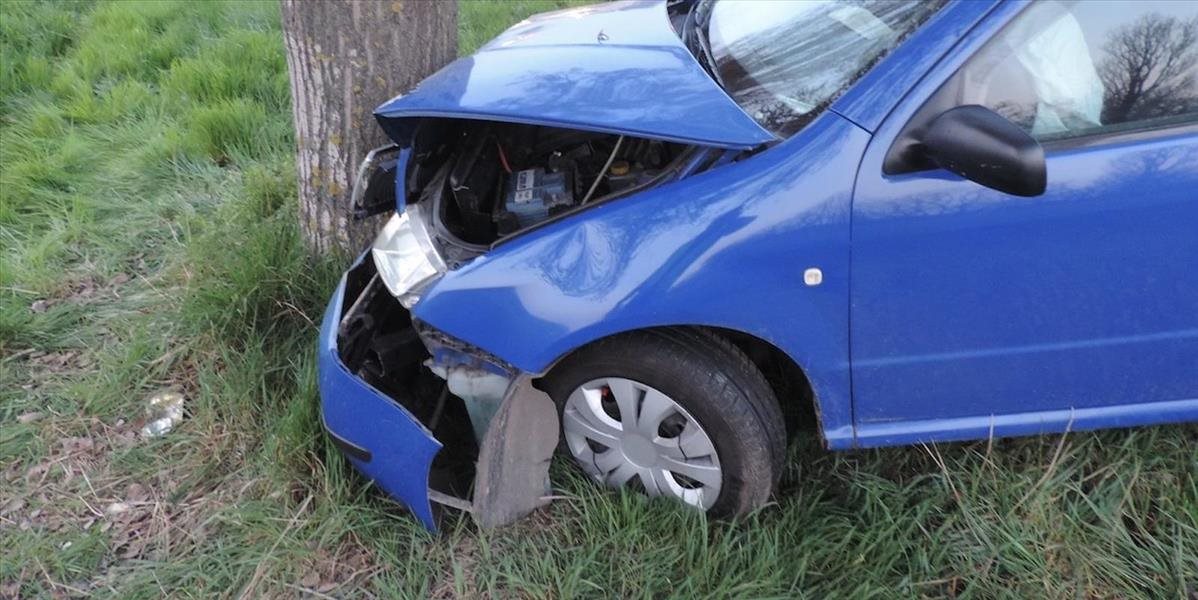 Vodič pod vplyvom alkoholu narazil do stromu, viezol deväť ľudí