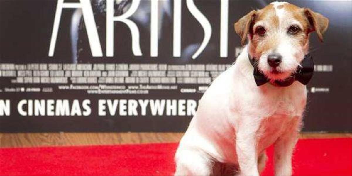 Zomrel pes Uggie, hviezda snímky The Artist