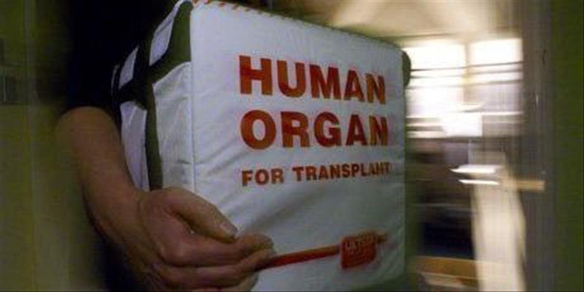 Desiatky ľudí protestovali proti obchodu s orgánmi nenarodených detí