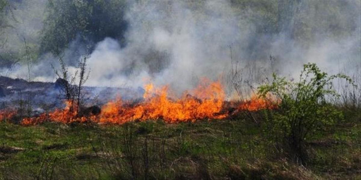 Hasiči zasahujú pri požiari porastu v bratislavskej Rači