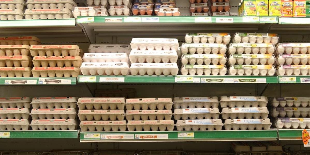 V Rakúsku sťahujú z predaja vajcia pre riziko salmonelózy