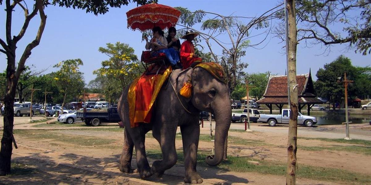 Horor na dovolenke: Slon usmrtil svojho vodcu a s turistami na chrbte ušiel do džungle