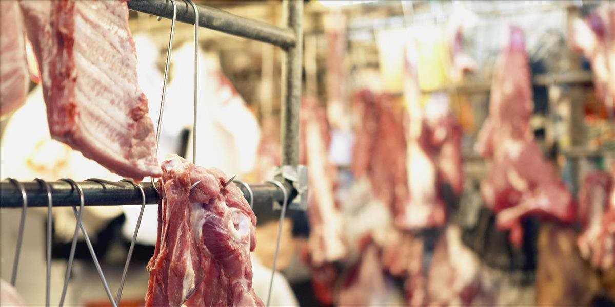 Európsky parlament podporil zákaz predaja klonovaného mäsa