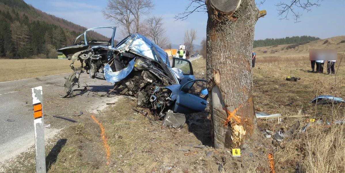 Vodič narazil do stromu, zachrániť sa ho nepodarilo