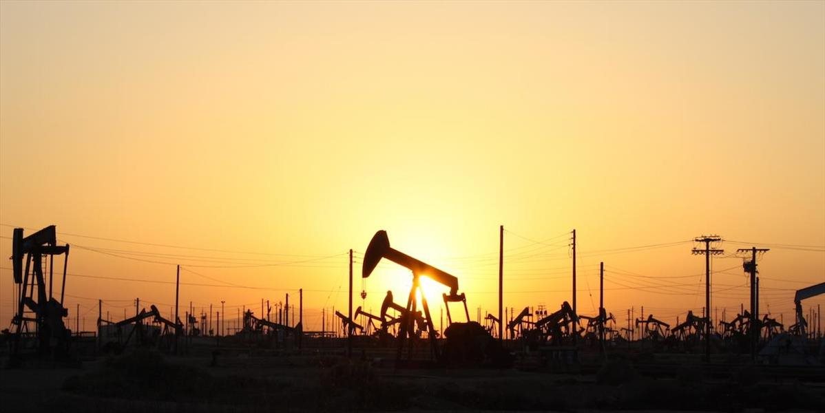 Ceny ropy mierne vzrástli, cena WTI prekročila 46 USD za barel